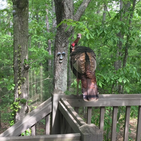 🙂 - Picture 13 of 15